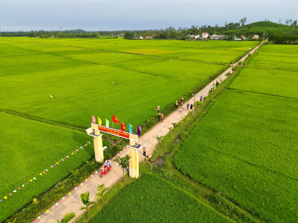 Hình ảnh Tuyến đường hoa thôn Tây Lộc
